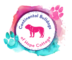 Continental Bulldogs of Hope Cottage